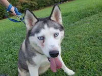 processed/5aaa8134-638f-4dac-94d7-edfc4108f65d/listing/3926b714-cd57-473c-9583-32f0fba5647b/b282004d-b6b5-4b64-a034-bbba707224ce