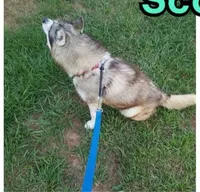 processed/5aaa8134-638f-4dac-94d7-edfc4108f65d/listing/5baa8977-8c7b-436d-8131-32804b27ba37/e7ae08cb-7acb-4404-a17a-fe02dd51d5e1