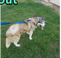 processed/5aaa8134-638f-4dac-94d7-edfc4108f65d/listing/5baa8977-8c7b-436d-8131-32804b27ba37/fea16858-fccc-44d5-bcb3-5170b8604ffd