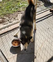 processed/5aaa8134-638f-4dac-94d7-edfc4108f65d/listing/ab313a46-e20f-41b9-91b0-e5eb7aa86fa8/0398d4e0-dccf-49d4-a573-6a2ec4024d1c