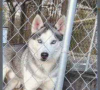 processed/5aaa8134-638f-4dac-94d7-edfc4108f65d/listing/ab313a46-e20f-41b9-91b0-e5eb7aa86fa8/9fac8b89-fa11-4dad-954f-ff348be8dfaf