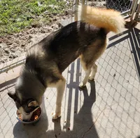 processed/5aaa8134-638f-4dac-94d7-edfc4108f65d/listing/ab313a46-e20f-41b9-91b0-e5eb7aa86fa8/be72fe10-8c41-489e-9c62-0ebd8e77e770