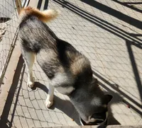 processed/5aaa8134-638f-4dac-94d7-edfc4108f65d/listing/ab313a46-e20f-41b9-91b0-e5eb7aa86fa8/d1c71cfb-ec23-4fc5-b0ea-fdfe9f194bd2