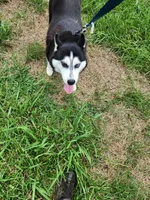 processed/5aaa8134-638f-4dac-94d7-edfc4108f65d/listing/c08947e4-27a2-4117-8da1-64c8c16e1090/9fe7c273-aeaa-44b3-b0b1-4c6dbcdf25c9