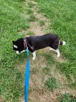 processed/5aaa8134-638f-4dac-94d7-edfc4108f65d/listing/c08947e4-27a2-4117-8da1-64c8c16e1090/f11d502a-9823-4182-9fe0-9a95a4d2c5e3