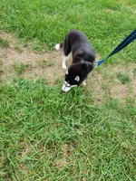 processed/5aaa8134-638f-4dac-94d7-edfc4108f65d/listing/c08947e4-27a2-4117-8da1-64c8c16e1090/fed7865e-4340-46b5-abeb-1fabcc4d9c45