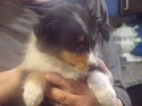 processed/5aaed3ef-a681-4a8c-ba69-2250a15f7079/listing/714ddd80-5f43-4ce7-841d-666ae3ced5b2/29989aee-4411-4e40-bae0-f5de6d44b425