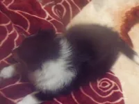 processed/5aaed3ef-a681-4a8c-ba69-2250a15f7079/listing/714ddd80-5f43-4ce7-841d-666ae3ced5b2/d6c10110-7c94-48ed-bd16-8ef7f00736a0