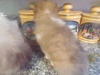 processed/5aaed3ef-a681-4a8c-ba69-2250a15f7079/listing/a96d3618-b36c-48db-a1cd-00bb872bc49f/f6d44565-5c6a-4055-a7cd-1c0bfefbd6c7