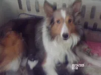 processed/5aaed3ef-a681-4a8c-ba69-2250a15f7079/listing/f0934b6e-f157-4b9e-b30a-8dcbe2248a9b/13450eea-e77f-4281-bf38-6dcb1e889355