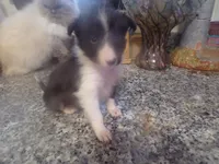 processed/5aaed3ef-a681-4a8c-ba69-2250a15f7079/listing/f0934b6e-f157-4b9e-b30a-8dcbe2248a9b/f403e7f8-291d-4e7f-b285-b7f366d5df8d