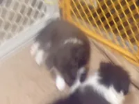 processed/5aaed3ef-a681-4a8c-ba69-2250a15f7079/listing/f340f36b-1f13-4b6a-8ca6-92163ed42721/12bcd9d3-2fbb-4dd4-9a46-dde81c9b700e