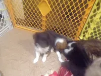 processed/5aaed3ef-a681-4a8c-ba69-2250a15f7079/listing/f340f36b-1f13-4b6a-8ca6-92163ed42721/5cc95b76-01ac-4925-9569-8f4c2049c5ce