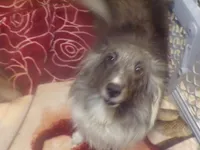 processed/5aaed3ef-a681-4a8c-ba69-2250a15f7079/listing/f340f36b-1f13-4b6a-8ca6-92163ed42721/7455de2f-4e64-4d18-b3d6-3bef33af1b23