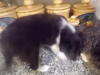 processed/5aaed3ef-a681-4a8c-ba69-2250a15f7079/listing/f340f36b-1f13-4b6a-8ca6-92163ed42721/ae21f372-1861-4f7d-bf0b-66f3f8733f00