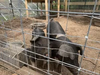 processed/5ab1cd65-75e9-4035-b921-12acb786cc65/facility/45007ff1-e26c-42e5-bb67-507d62cf4914