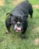 processed/5abf28af-7f1f-4233-8342-73ff53daf089/listing/58a9fa38-3c17-4e2b-9b03-a8babe9c9727/3e7a4ede-ef4f-40c3-96e9-66c78b011007