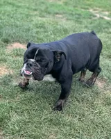 processed/5abf28af-7f1f-4233-8342-73ff53daf089/listing/58a9fa38-3c17-4e2b-9b03-a8babe9c9727/59171428-ffb1-4a0f-835c-7be6f5678760