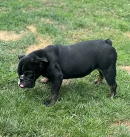 processed/5abf28af-7f1f-4233-8342-73ff53daf089/listing/58a9fa38-3c17-4e2b-9b03-a8babe9c9727/ef538ce2-9d70-469d-b5c8-61225612a964