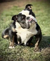 processed/5abf28af-7f1f-4233-8342-73ff53daf089/listing/defff6e8-4f93-438d-9349-bc41c3ac722b/4d9d5d3e-7cdc-4bd3-a9bf-57b035a7ec8c