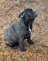 processed/5abf28af-7f1f-4233-8342-73ff53daf089/listing/efee472b-4e05-458d-aa79-2e1ef9720ce4/86b36117-ec4a-4946-b119-a2873166fad0