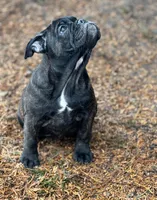 processed/5abf28af-7f1f-4233-8342-73ff53daf089/listing/efee472b-4e05-458d-aa79-2e1ef9720ce4/ca4074c2-1933-4b5d-bccd-350ad85c49c9