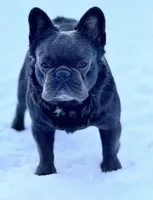 processed/5abf28af-7f1f-4233-8342-73ff53daf089/listing/efee472b-4e05-458d-aa79-2e1ef9720ce4/e6b22222-589f-468e-b3dc-b0d484a36e39