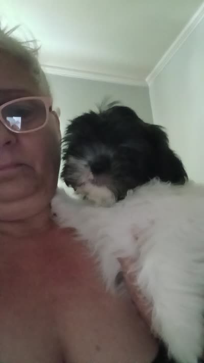 Mabel , a female Shih Tzu for sale in Jacksonville, NC – 2 of 2