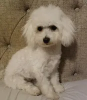 processed/5ac05d2d-5fa1-4649-8109-95828ab8c26d/listing/7e18e460-81a4-42a5-863e-3dada5afd250/e6b92863-2687-4e92-9c77-d44111805780