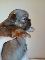 processed/5ac05d2d-5fa1-4649-8109-95828ab8c26d/listing/bd0190b6-2762-4b27-b972-8677b2e18275/308bef95-608a-4a43-a047-3e25cc2afc3f