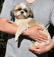 processed/5ac05d2d-5fa1-4649-8109-95828ab8c26d/listing/bd0190b6-2762-4b27-b972-8677b2e18275/3f41a259-3220-48f2-bd07-2345191da8b3