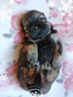 processed/5ac05d2d-5fa1-4649-8109-95828ab8c26d/listing/c6c39539-8866-42ae-a70a-a387d3b0909e/c5f8aac3-5f6f-4d95-8196-157ab2ad5e4f