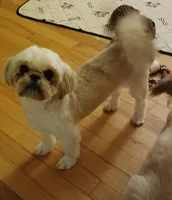 processed/5ac05d2d-5fa1-4649-8109-95828ab8c26d/listing/c6c39539-8866-42ae-a70a-a387d3b0909e/dad7e1bc-1ee3-469f-8871-528208d5b37b