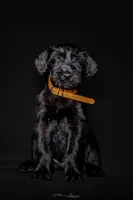 processed/5ac1565a-e1ce-4780-9aef-4bb0f51d1f80/listing/0a140f0d-b279-474f-ac78-6319a0f61dc0/4fc0c1dd-d03e-4b51-b259-4540cb50204b