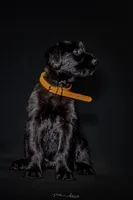 processed/5ac1565a-e1ce-4780-9aef-4bb0f51d1f80/listing/0a140f0d-b279-474f-ac78-6319a0f61dc0/8b91c16a-41ad-4ab9-a043-0b4c85e0c82f