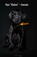 processed/5ac1565a-e1ce-4780-9aef-4bb0f51d1f80/listing/0a140f0d-b279-474f-ac78-6319a0f61dc0/9fd8db3d-a311-447d-878b-5d3feff011b3