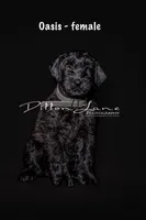 processed/5ac1565a-e1ce-4780-9aef-4bb0f51d1f80/listing/1ebf480b-d0b3-4090-abc1-b000b34ce2c7/854be215-ff88-4e6f-9708-db3bb7e658de