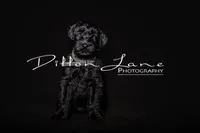 processed/5ac1565a-e1ce-4780-9aef-4bb0f51d1f80/listing/1ebf480b-d0b3-4090-abc1-b000b34ce2c7/a5aa6f9c-946a-475c-a5da-f12a19f50a8b