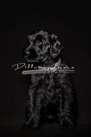 processed/5ac1565a-e1ce-4780-9aef-4bb0f51d1f80/listing/1ebf480b-d0b3-4090-abc1-b000b34ce2c7/ab0a1f26-15fb-41fd-8979-86257ba4ae1d