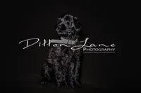 processed/5ac1565a-e1ce-4780-9aef-4bb0f51d1f80/listing/1ebf480b-d0b3-4090-abc1-b000b34ce2c7/e9856252-37af-41ae-9141-3f8a3f8bb3cc