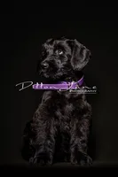 processed/5ac1565a-e1ce-4780-9aef-4bb0f51d1f80/listing/4a942263-0e58-4d42-b1aa-1a857011d542/06f69c31-efd8-4f74-a062-f93de8529c2a