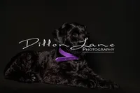 processed/5ac1565a-e1ce-4780-9aef-4bb0f51d1f80/listing/4a942263-0e58-4d42-b1aa-1a857011d542/1de4d252-64bc-41c3-a5ec-e520f10ec5a3