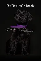 processed/5ac1565a-e1ce-4780-9aef-4bb0f51d1f80/listing/4a942263-0e58-4d42-b1aa-1a857011d542/e29559d3-da24-45d1-9a01-b622238031d6