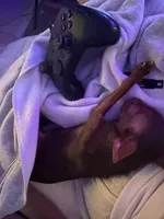 Beans, a female Chihuahua for sale in Phoenix, AZ – Photo 2 of 3