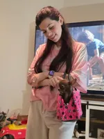 Beans, a female Chihuahua for sale in Phoenix, AZ – Photo 1 of 3