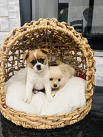 processed/5ad1498b-fdbb-4637-82dd-2dad3f6db6f8/facility/2d8a4b76-5b91-4dd2-a037-d4d549ad5d4b