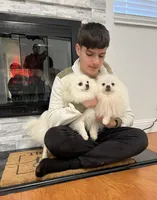 processed/5ad1498b-fdbb-4637-82dd-2dad3f6db6f8/facility/a52fcf95-eeb3-4f31-8eea-a3fc06cad1eb