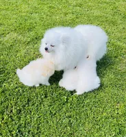 processed/5ad1498b-fdbb-4637-82dd-2dad3f6db6f8/facility/ab4d926e-2341-4553-b554-17ce9a0aec83