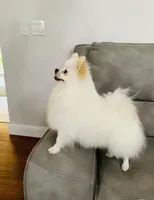 processed/5ad1498b-fdbb-4637-82dd-2dad3f6db6f8/facility/add269f8-6bcc-4cff-bf19-acc629ac83a3