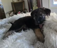 processed/5adbe91d-1293-47d5-9464-05393fd32ae3/listing/71b564f6-02fe-495e-adf0-649e316477cb/2515d01e-2cba-41aa-bbfc-c795481fd9ee